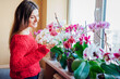 Happy woman enjoys blooming phalaenopsis orchids on window sill. Girl gardener taking care of home plants and flowers.