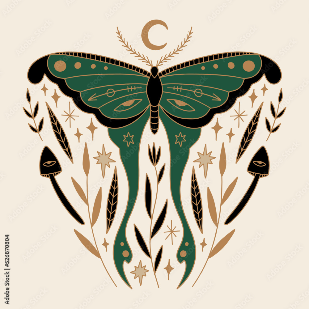 Magic luna moth celestial moon night butterfly magical vector and jpg ...