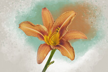 Watercolor Painting Of A Vibrant Orange Day Lily Flower. Botanical Illustration