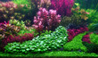 Colorful aquatic plants in aquarium tank with Modern Dutch style aquascaping layout
