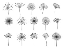 Dandelion Silhouettes Set, Flower Seeds In Wind, Vector Flying Spring Blossoms. Dandelion Plant Floral Fluffs In Thin Line, Fluffy Dandelion Pattern In Blow, Softness, Freedom Or Tranquility Symbol