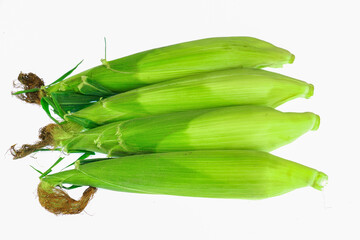 fresh corn cobs isolated on white background