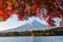 Fuji Mountain And Red Maple Leaves In Autumn, Kawaguchiko Lake, Japan