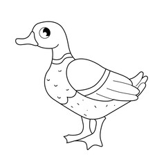 Wall Mural - Vector outline illustration of cartoon cute duck isolated on white background. 