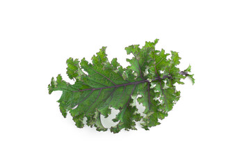 Wall Mural - Close up kale leaves  isolated on white background.