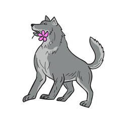 Poster - Timber Wolf Holding Plumeria Flower Drawing