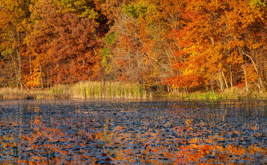 Kensington metro park in Michigan.