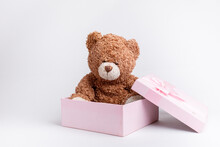 Teddy Bear In A Pink Gift Box On A White Background, Isolated