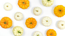 White And Orange Small Pumpkins On A White Background. Pumpkins Pattern On White Backdrop With Copy Space. Squash Background For Thanksgiving Day And Harvest Festival.