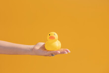 Hand Of Woman With Rubber Duck In Front Of Yellow Wall