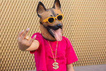 Young Woman Wearing Dog Mask And Sunglasses In Front Of Wall