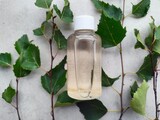 Fototapeta  - Woda brzozowa naturalna w butelce na tle liści