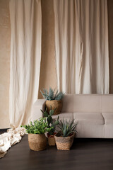 Wall Mural - Comfortable couch in spacious living room interior with green plants, real photo with copy space on the empty wall