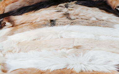 Close-up of a row of fur skins of wild animals outdoors, selective focus