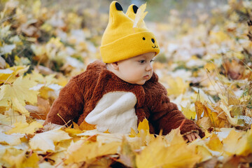  The kid sits in yellow leaves in the park for a walk.