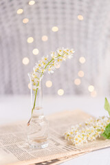 Wall Mural - Glass vase with beautiful blooming white bird cherry, newspaper next to it. Light postcard background with bokeh.	