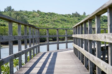 Canvas Print - Wood deck path through Shimajiri mangrove forest