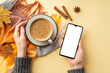 © ActionGP - First person top view photo of female hands in sweater holding saucer with cup of coffee and smartphone over plaid cinnamon sticks anise yellow maple leaves on isolated beige background with copyspace