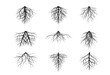 A set of black Tree Roots. Vector outline Illustration. Plant and Garden.

