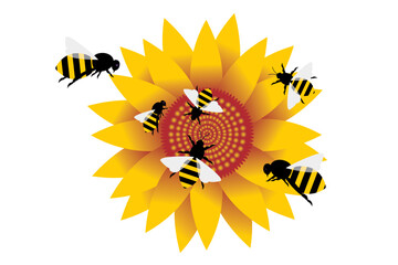 Wall Mural - sunflowers and bees. sunflower bees. yellow and beautiful sunflower blooming
