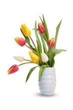 A Group Of Red, Yellow And White Tulip Flowers And Leaves In A Vase Isolated On A Flat Background.