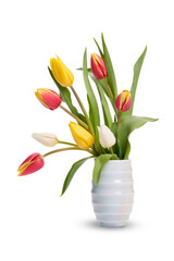 Wall Mural - a group of red, yellow and white tulip flowers and leaves in a vase isolated on a flat background.