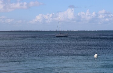 Sticker - sailing in the sea