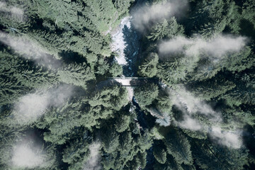 Wall Mural - vertical aerial view of a bridge crossing a stream in the forest with fog