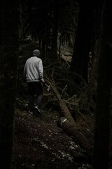 Wall Mural - Caucasian man holding an axe in the forest