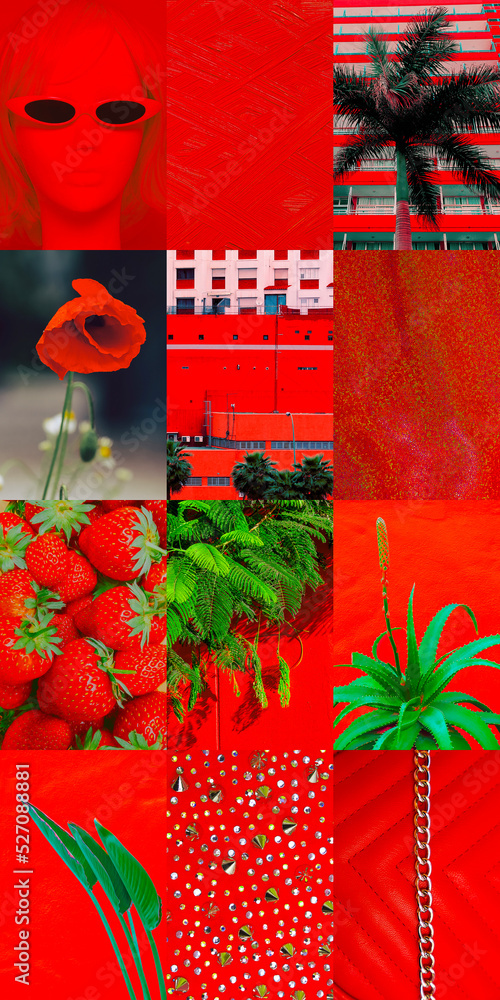 Colour Collage in Red Colour Collage in Red
