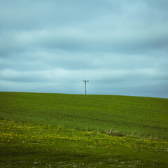 Wall Mural - Single power line in green hill fields in Skåne (Scania) Sweedn