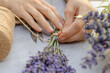 Making a bouquet of fresh lavender. Step by step photo of a woman's hand tying a bunch of lavender with twine.