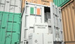 © Alexey Novikov - Cartons with goods from Ireland and shipping containers in the port terminal or warehouse. National production related conceptual 3D rendering
