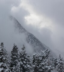 Sticker - Mountain with snow-covered trees emerges from the clouds in Utah