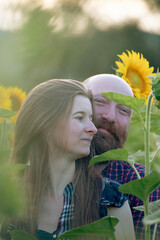 Wall Mural - Young romantic couple in sunflower field in sunset