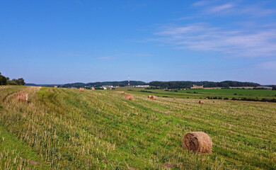 Wall Mural - Aerial view of agro fields with harvesting and haystacks