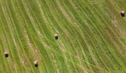 Wall Mural - Aerial view of agro fields with harvesting and haystacks