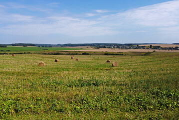 Wall Mural - Aerial view of agro fields with harvesting and haystacks