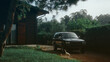 © Andre Silva - vintage car in driveway surrounded by trees