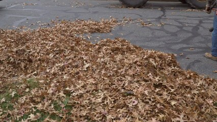 Wall Mural - Fallen leaves near houses are being cleaned by a municipal worker uzing blower in the autumn.