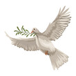 dove flying with olive branch