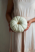 White Pumpkin In The Female Hands, Thanksgiving Anв Helloween Concept