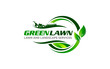 Illustration graphic vector of lawn care, landscape services, grass concept logo design template