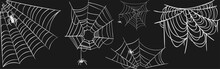 Spider Web Vector Collection