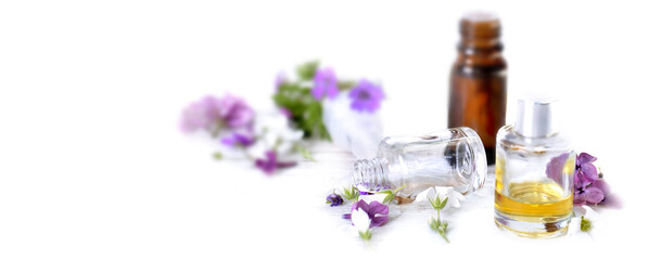  bottles of essential oil and colorful petals of flowers on white panoramic background