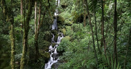 Wall Mural - Waterfall on small wild mountain river, long exposure. Stunning landscape of wilderness and pure nature. San Gerardo de Dota, Costa Rica.