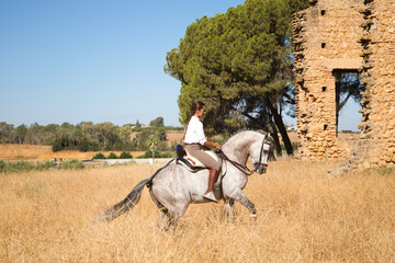 Wall Mural - Young, beautiful Spanish woman on a brown horse in the countryside. The horse raises its front legs. She is doing dressage exercises. Thoroughbred and equine concept.