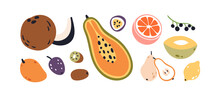 Tropical Summer Fruits Set. Sweet Exotic Healthy Food. Cross Section Of Papaya, Pear, Grapefruit, Cut Melon, Half Of Kiwi, Whole Lemon. Flat Graphic Vector Illustrations Isolated On White Background