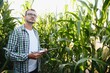 © Serhii - farmer inspecting corn at his field