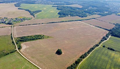 Wall Mural - Aerial view of agro rural fields. Harvesting on the farm landscape